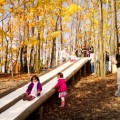 Patterson Fruit Farm