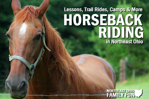 Horseback Riding in Northeast Ohio