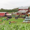 Arrowhead Orchards Ohio