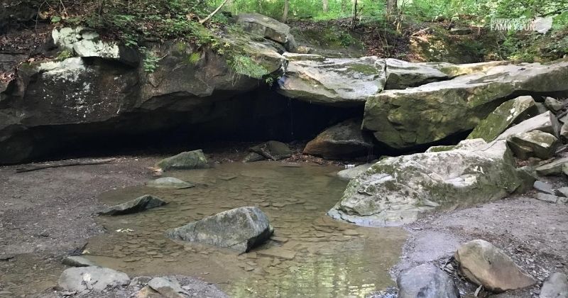 Deer-Lick-Cave-Trail-Cleveland-Metroparks-Ohio-9
