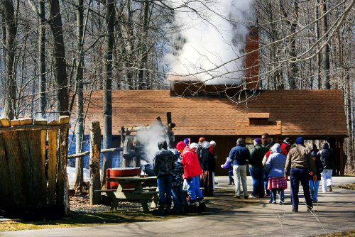 FREE Sap's-a-Risin'! at Geauga Park District's Swine Creek 