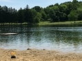 Swimming Dock and Water without Kids at Munroe Falls