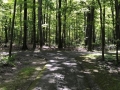 Paved-Trails-at-Orange-Village-Park-Ohio
