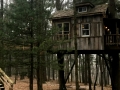 Old Pine Treehouse in Ohio