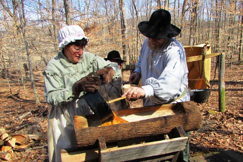 Early Settlers making Maple Sugar