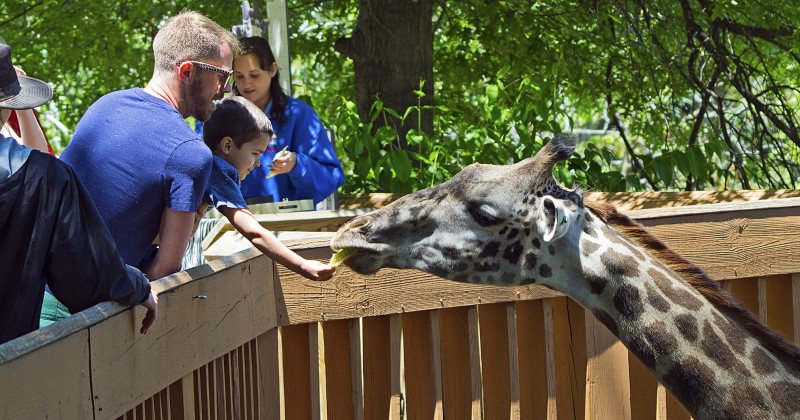 10 Must Visit Zoos in Ohio Animal Lovers will Adore