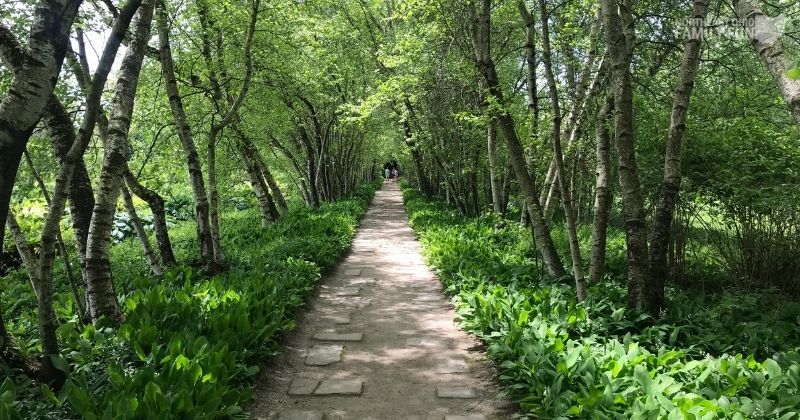 13 Botanical Gardens in Northeast Ohio: Guaranteed to Delight All Ages