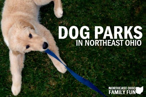 Dog Parks in Northeast Ohio