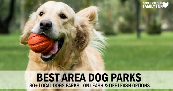 Best Dog Parks in Northeast Ohio - On Leash and Off Leash Options