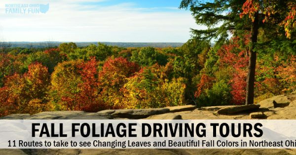 ohio fall foliage driving tours