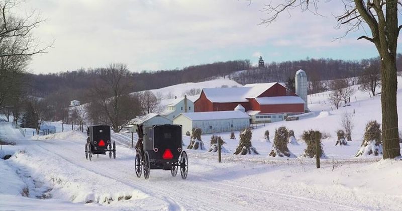 Amish Heritage Tours, Things to Do in Amish Country