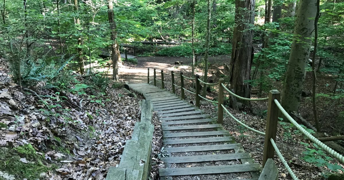 Deer Lick Cave Trail – Scenic Wooded Trail in the Brecksville Reservation