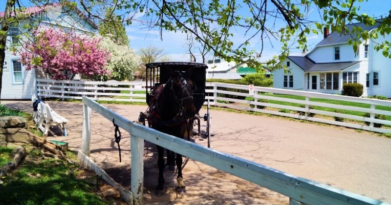 Experience the Amish Way of Life with these Home Tours and Buggy Rides