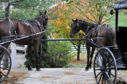 Things to do in Amish County Ohio