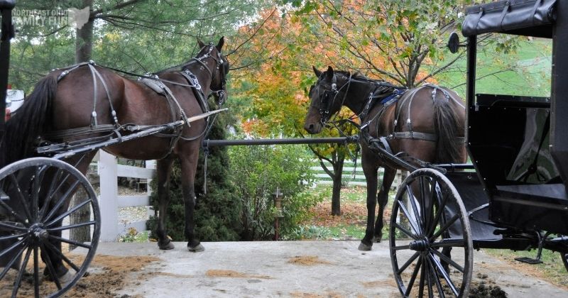 Things to do in Amish County Ohio