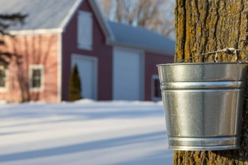 Maple Syrup Festivals in Ohio
