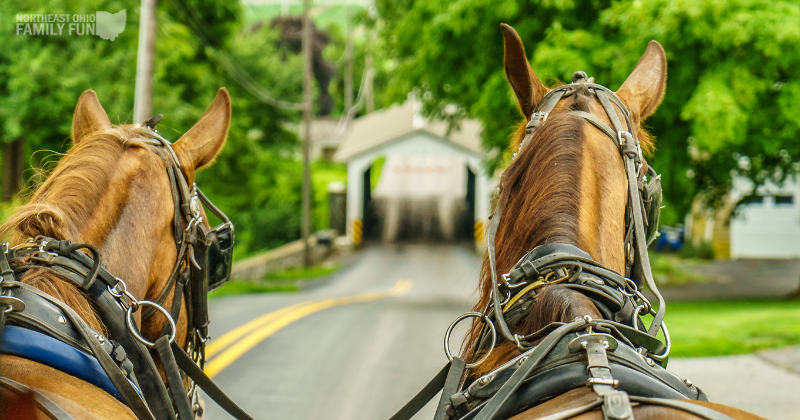 Best Things to do in July in Ohio – Amish Country, Movies, Ice Cream & More