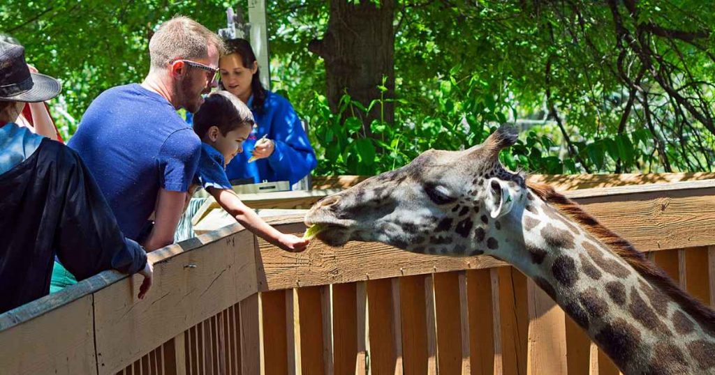 30+ Best Things to do in Cleveland Ohio Options for all Ages & Interests