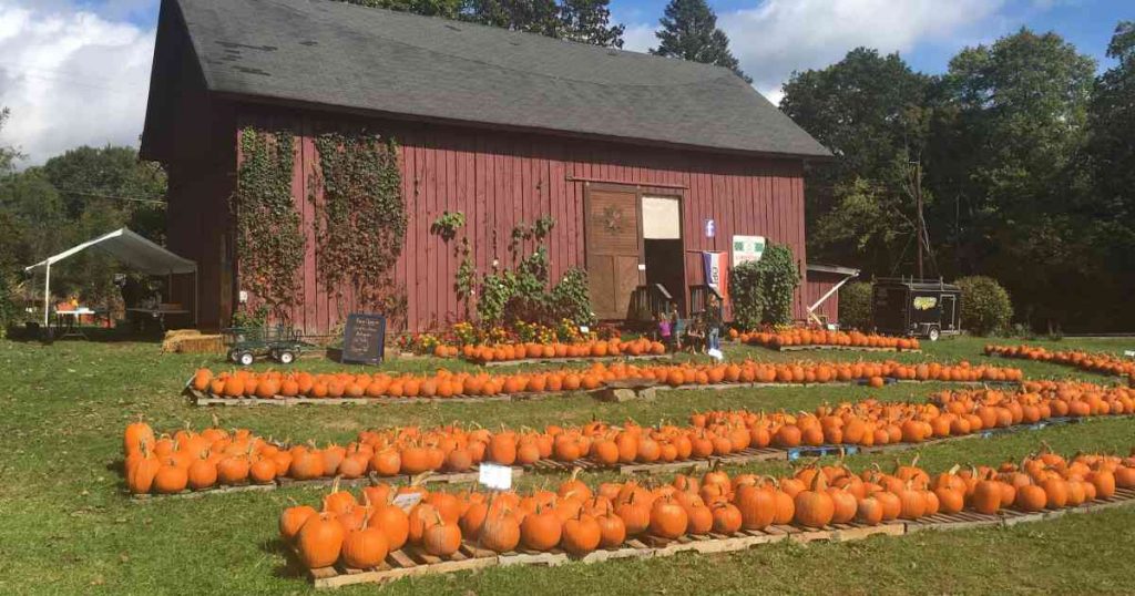 Ohio October Best Things to do in October in Ohio - Scenic Overlooks, Pumpkin ...
