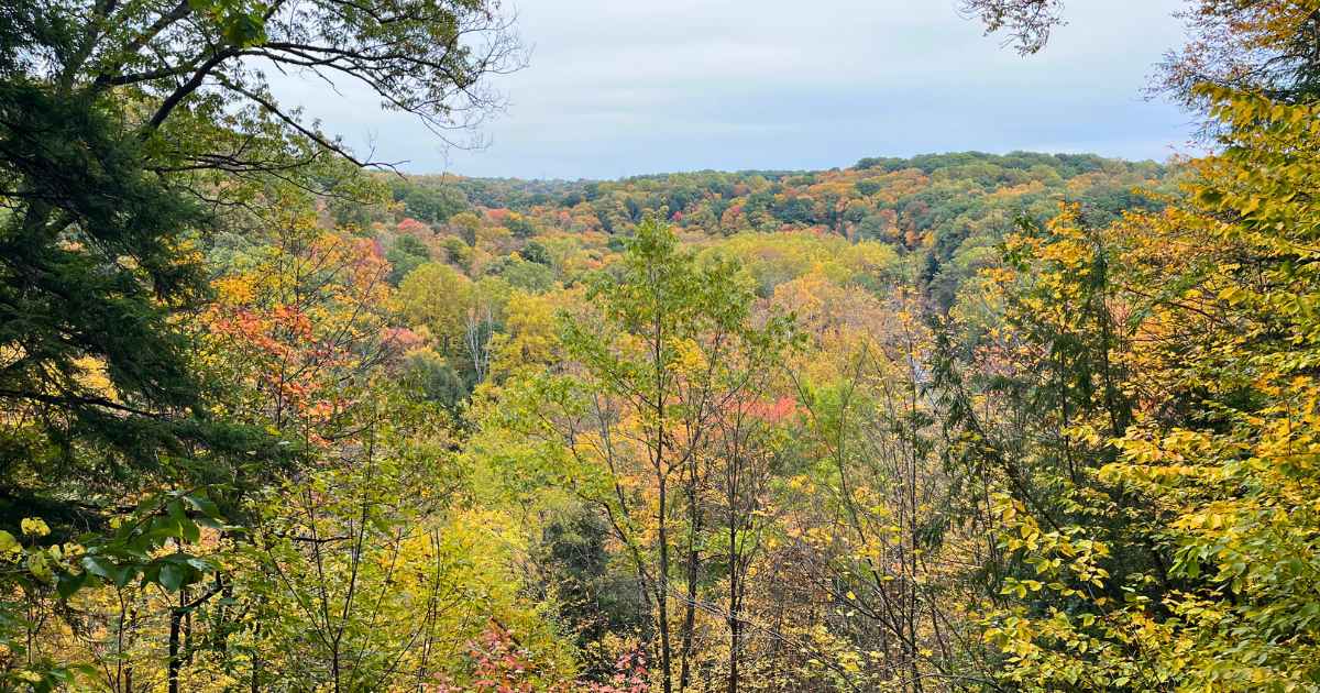 Tinkers Creek Gorge Scenic Overlook in the Fall