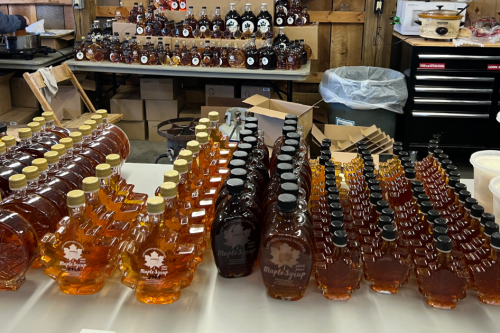 Delicious Maple Syrup at Lake Metroparks Maple Sugaring Weekends