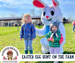 Best Northeast Ohio Easter Egg Hunts & Easter Events {2023}