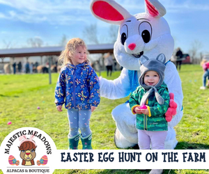 Where to meet the Easter Bunny in Columbus, Ohio, 2024