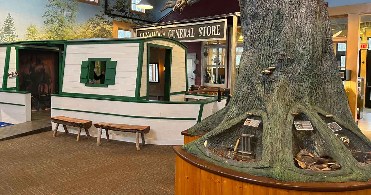 20+ Nature Centers in Northeast Ohio for Enjoying Time Outdoors