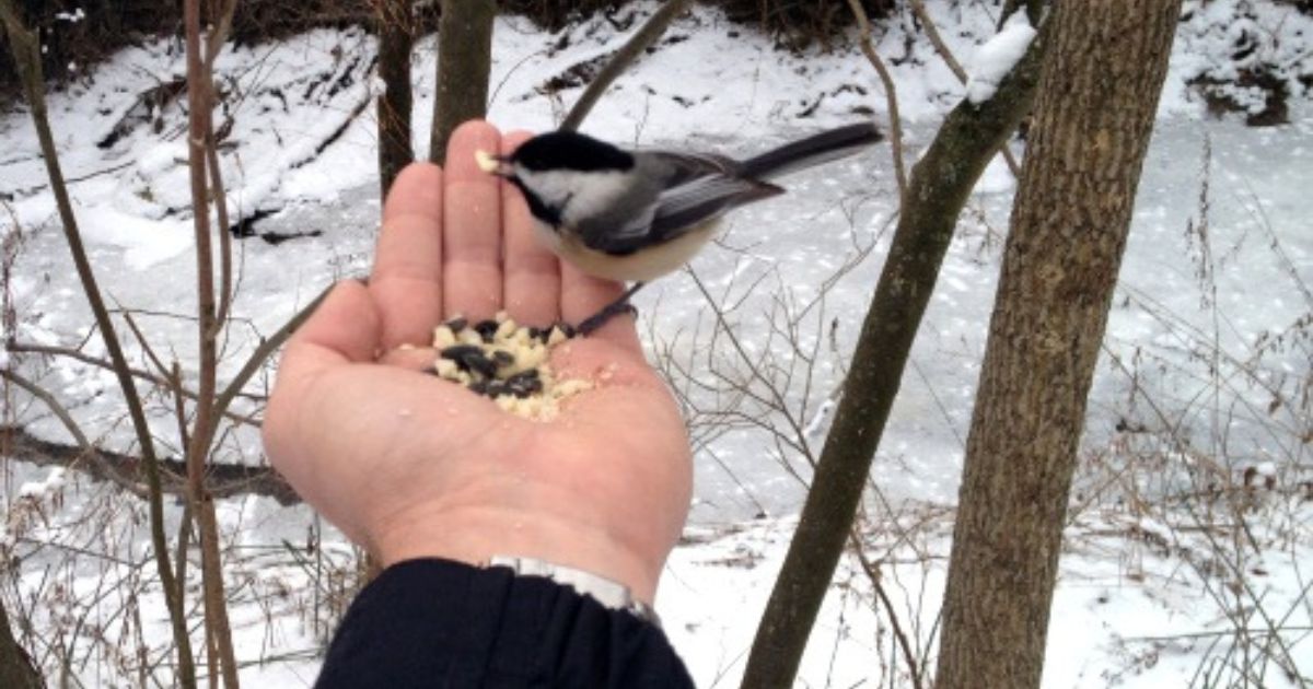 Things to do this Weekend