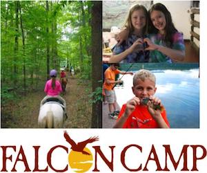 Falcon Camp